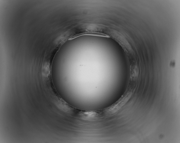 X0000103310478200808291433