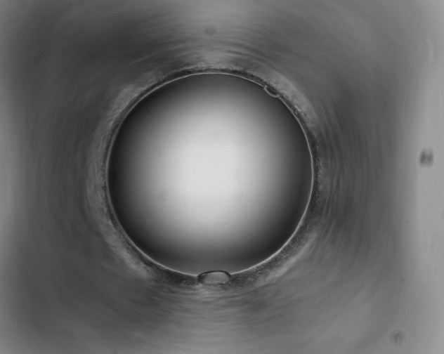 X0000103310481200808291432