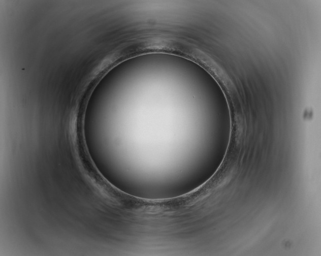 X0000103310482200808291432