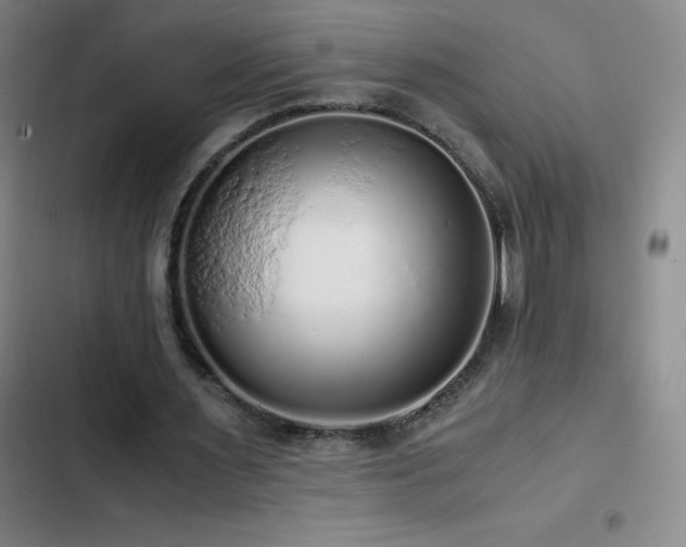 X0000103310483200808291432