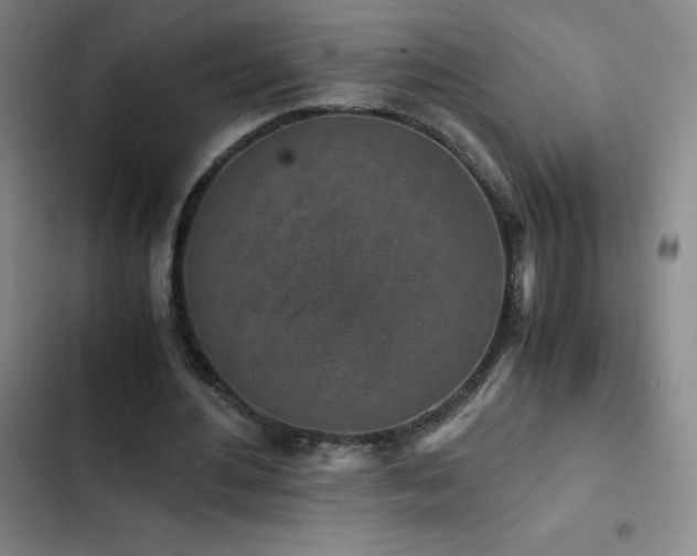 X0000103310484200808291432