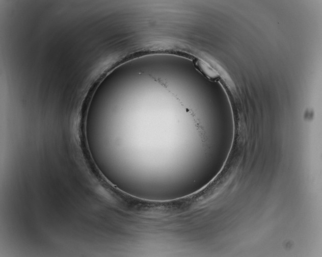 X0000103310485200808291432