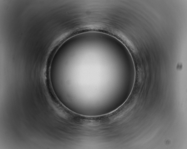 X0000103310486200808291432