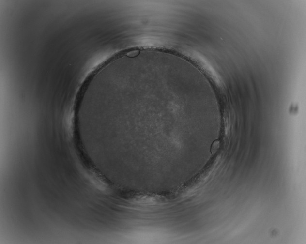 X0000103310488200808291432