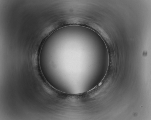 X0000103310489200808291432
