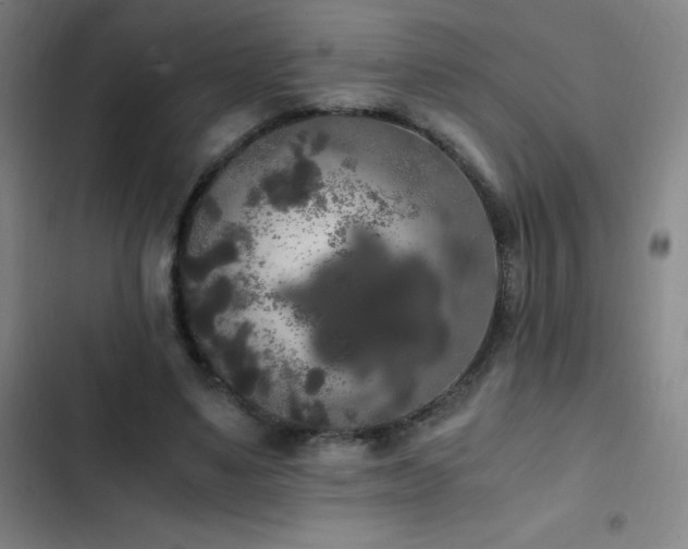 X0000103310491200808291432