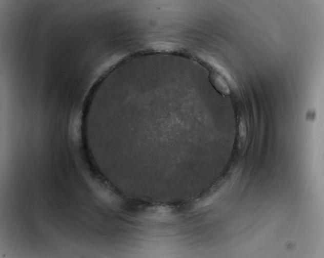 X0000103310492200808291432