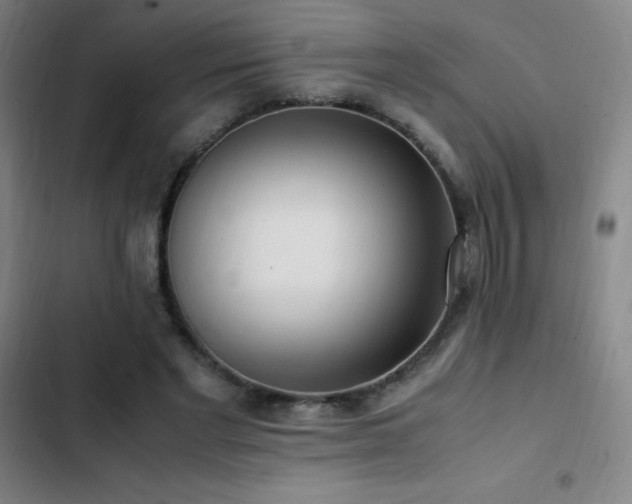 X0000103310493200808291432