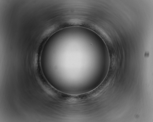 X0000103310494200808291432