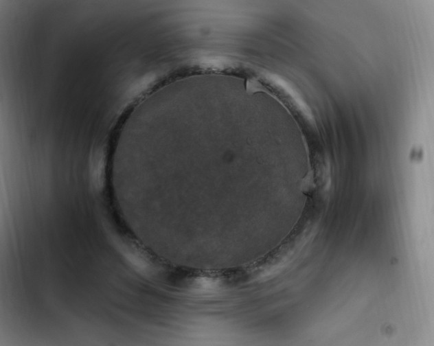 X0000103310496200808291432