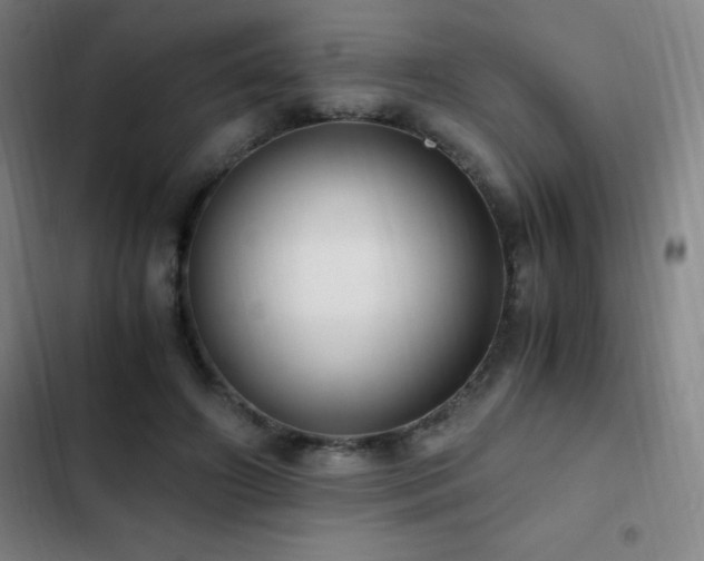X0000103310498200808291432