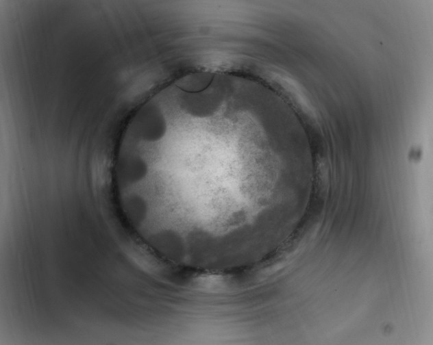 X0000103310499200808291432