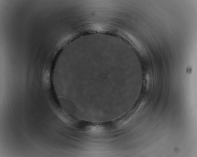 X0000103310500200808291432