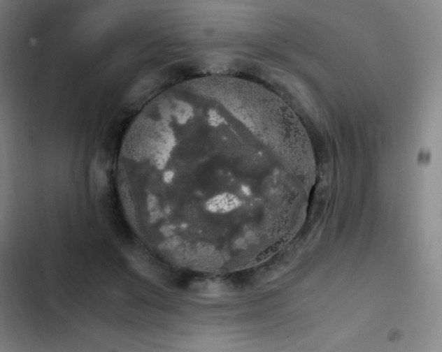 X0000103310503200808291432