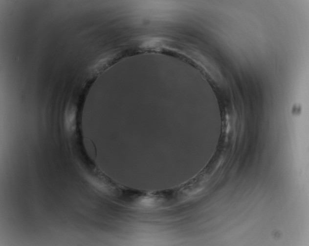 X0000103310504200808291432