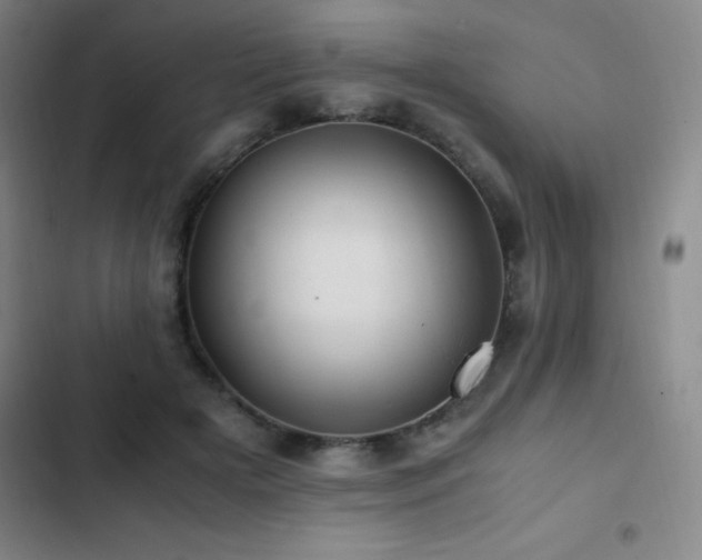 X0000103310505200808291432