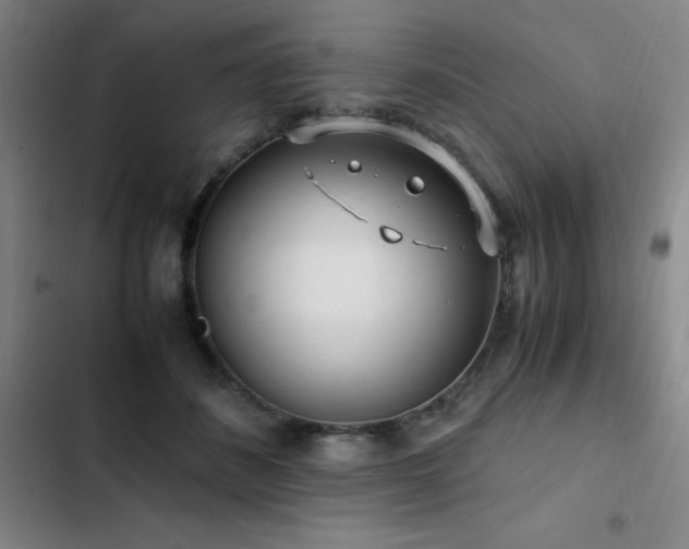 X0000103310508200808291432