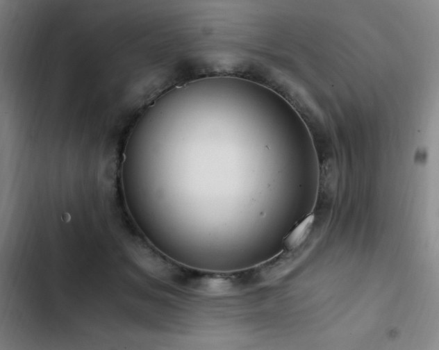 X0000103310509200808291432