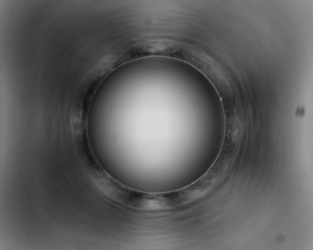 X0000103310510200808291432
