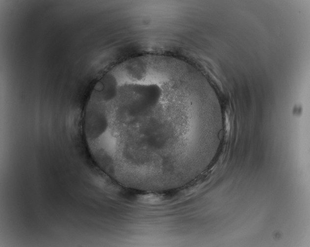 X0000103310511200808291432