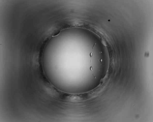 X0000103310512200808291432