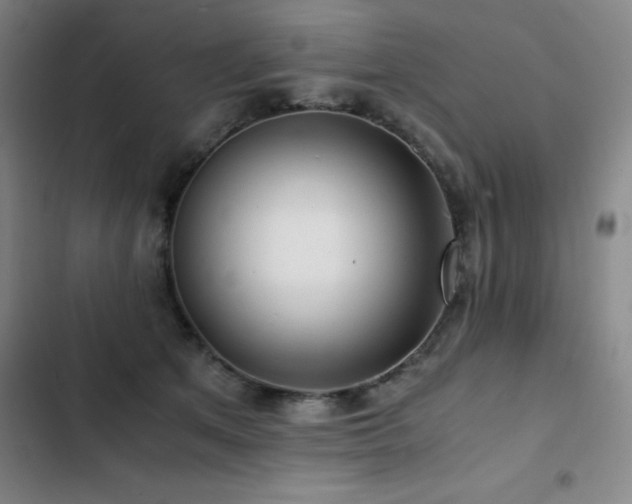 X0000103310513200808291432