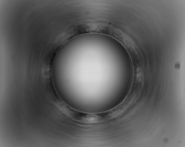 X0000103310514200808291432
