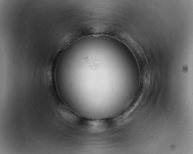 X0000103310516200808291432