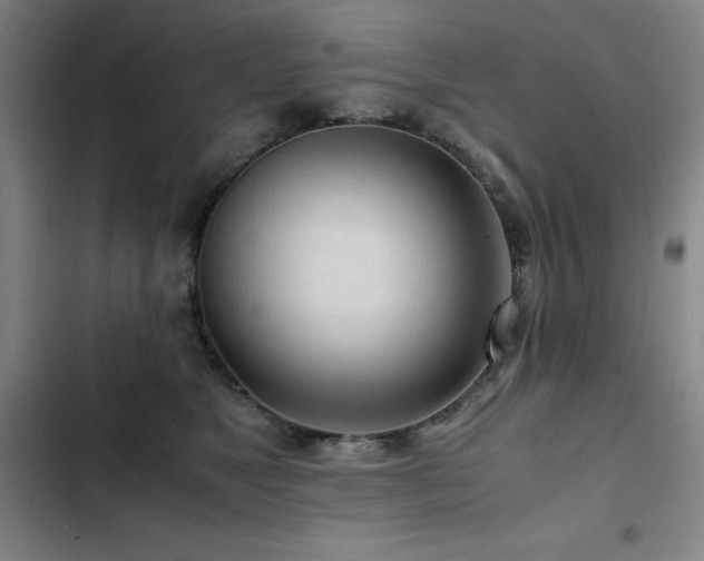 X0000103310517200808291432
