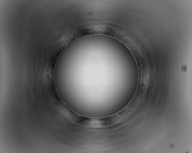 X0000103310518200808291432