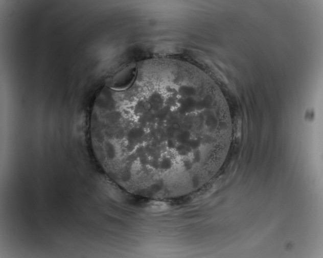 X0000103310519200808291432
