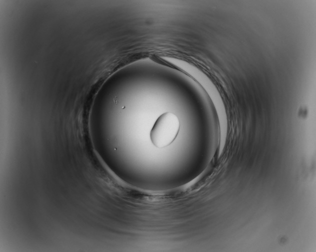 X0000103310520200808291432