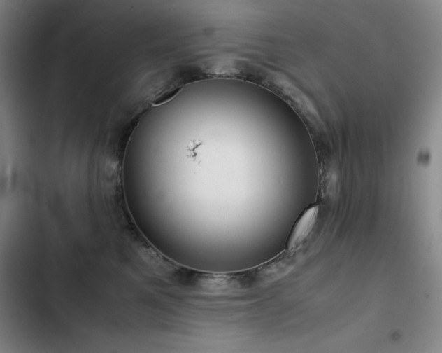 X0000103310521200808291432