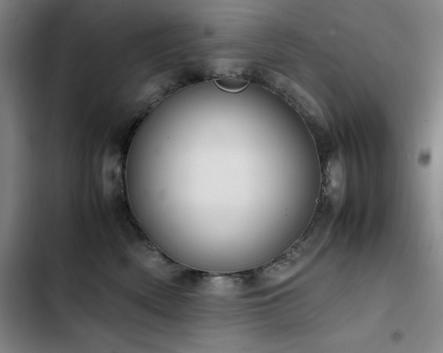 X0000103310522200808291432