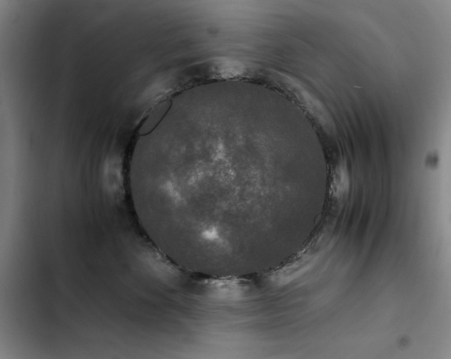 X0000103310524200808291432