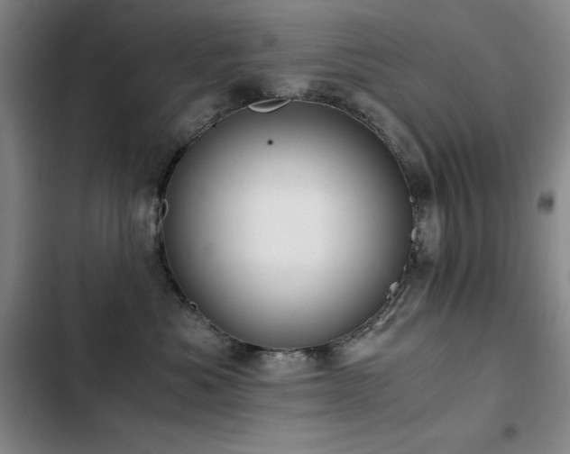 X0000103310525200808291432