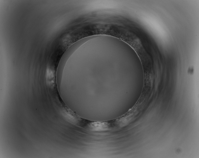 X0000103310526200808291432