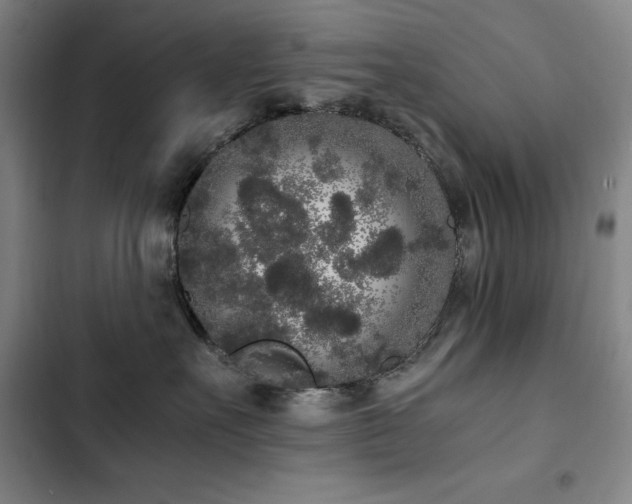 X0000103310527200808291432