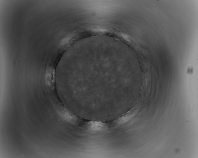 X0000103310528200808291432