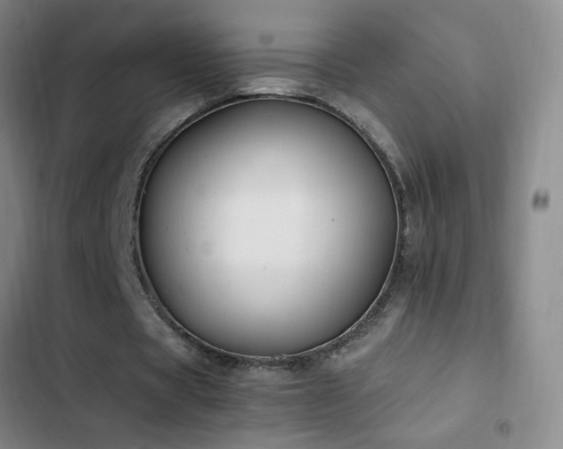 X0000103310529200808291431