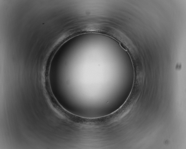 X0000103310530200808291431