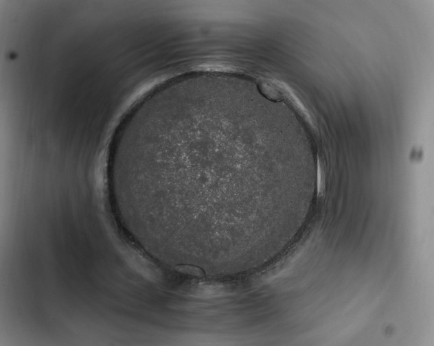 X0000103310531200808291431