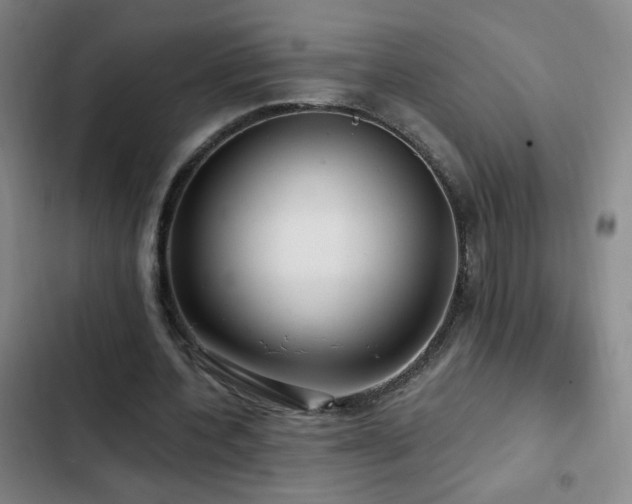 X0000103310532200808291431