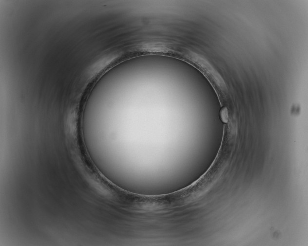 X0000103310533200808291431