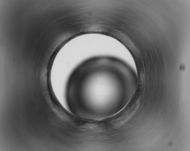 X0000103310534200808291431