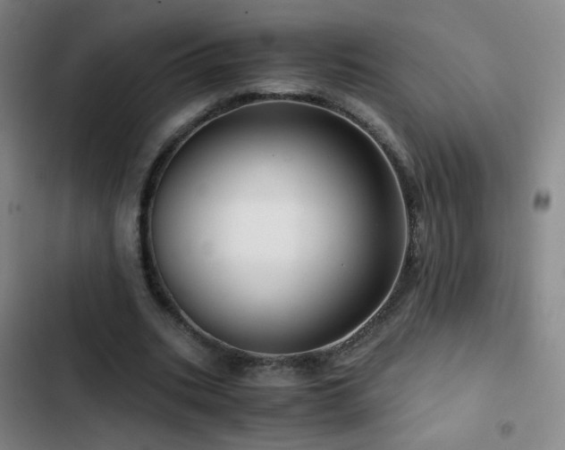 X0000103310535200808291431