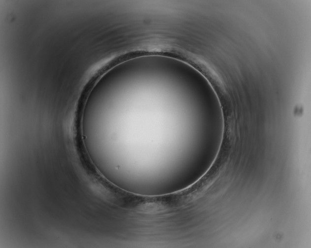 X0000103310536200808291431