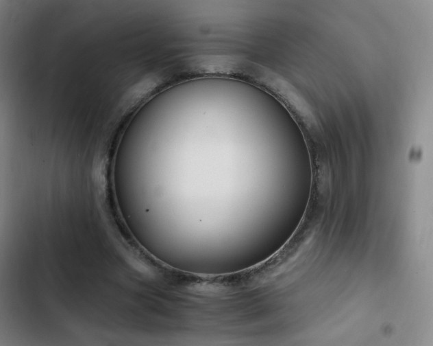 X0000103310537200808291431