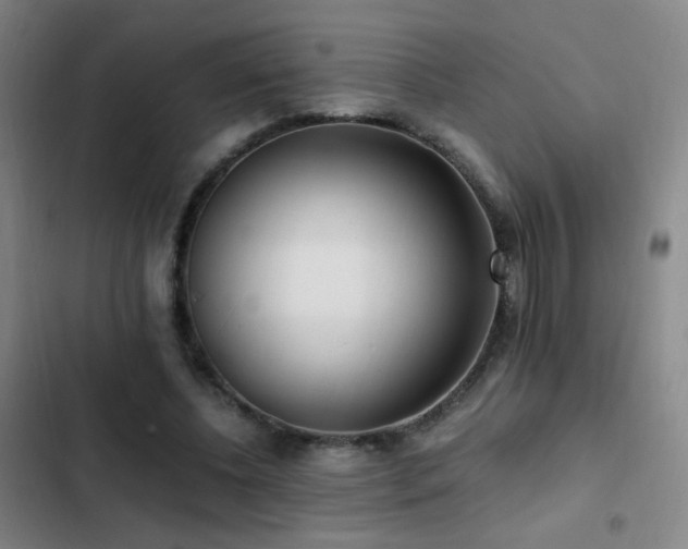 X0000103310540200808291431