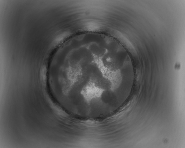 X0000103310542200808291431